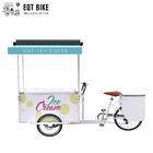 EQT-Lading de Met drie wielen van de Roomijsfiets voor de fiets elektrische Fiets Straat van de Bedrijfsverkoopdiepvriezer voor Koude Dranken