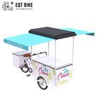 Fiets van EQT 138L of van 110L Front Load Tricycle Ice Cream voor Verkoop gelijkstroom dreef Voedsel het Met drie wielen Trike van Diepvriezerkarren aan